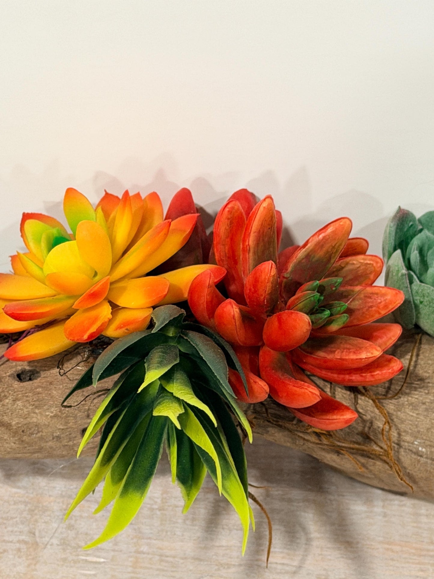 Succulent Driftwood Arrangement, Faux Succulent Centerpiece, Rustic Wood Table Decor, Modern Boho Home Accent, Coastal Farmhouse Decor