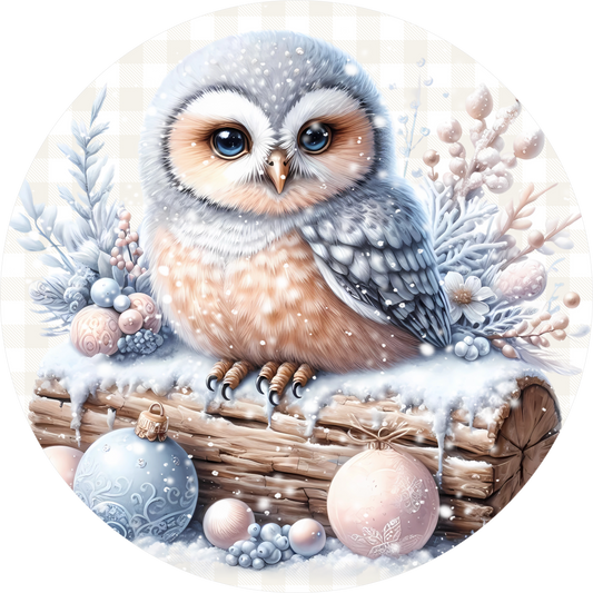 Blue Owl — Winter Round Wreath Sign